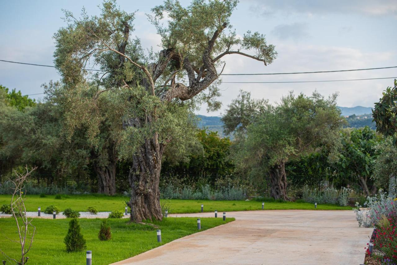 Aerinos Private Villa Лефкада Экстерьер фото